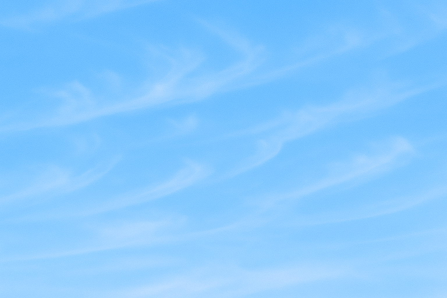 Bird floating on water